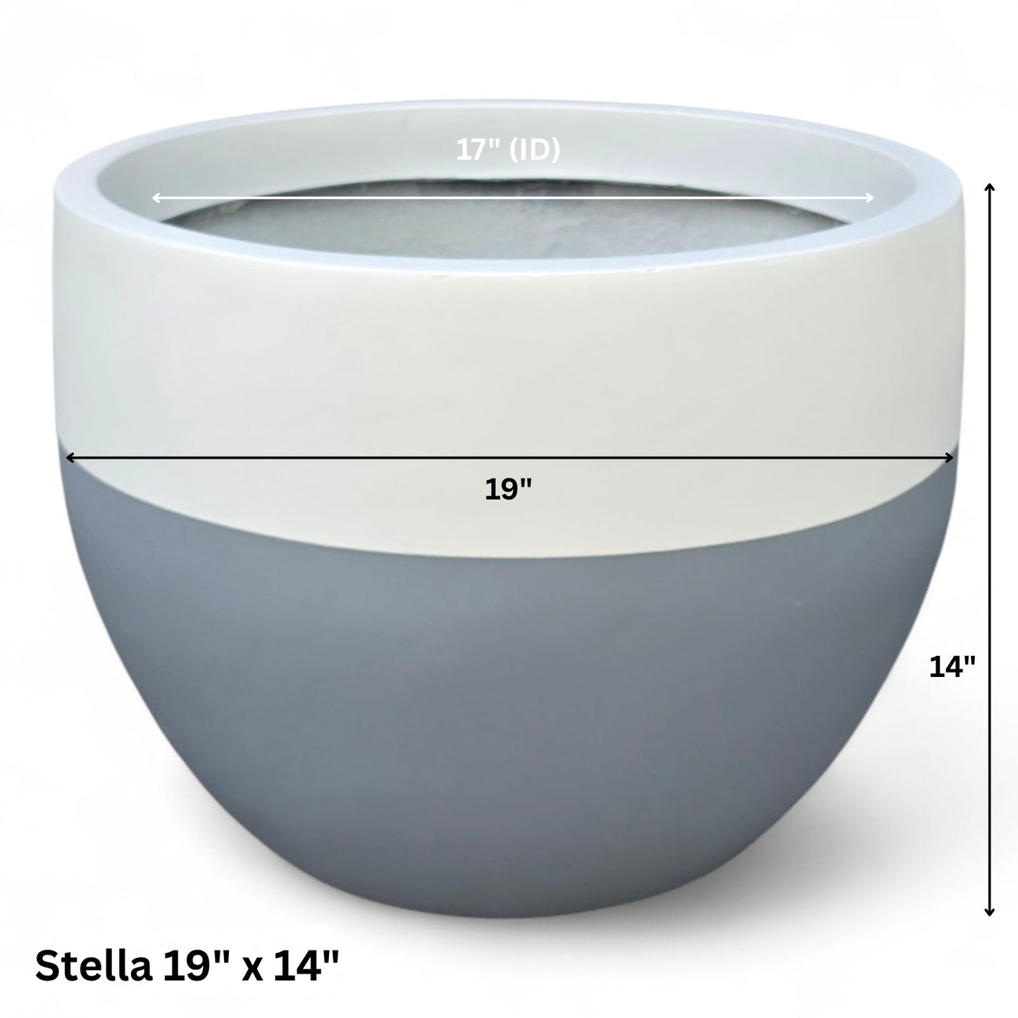 Stella Jr. by Avantika's Garden