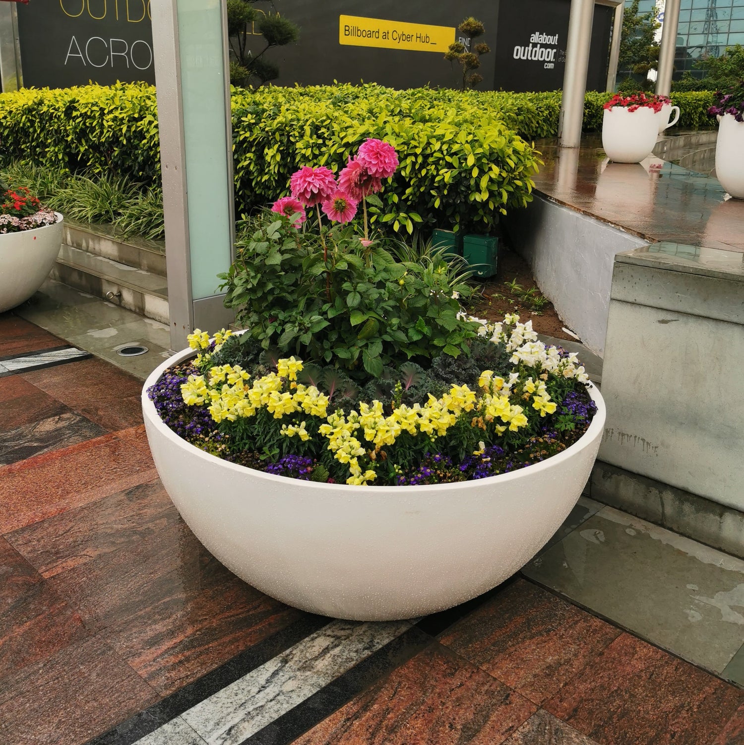 Bowl