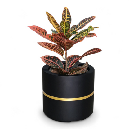 Moscato planters by Avantika's Garden