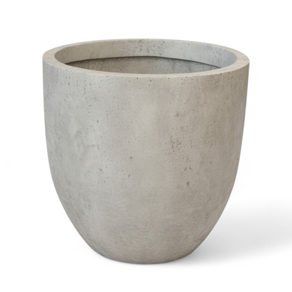 Europa planters by Avantika's Garden