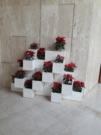 Installation of planters by Avantika's Garden