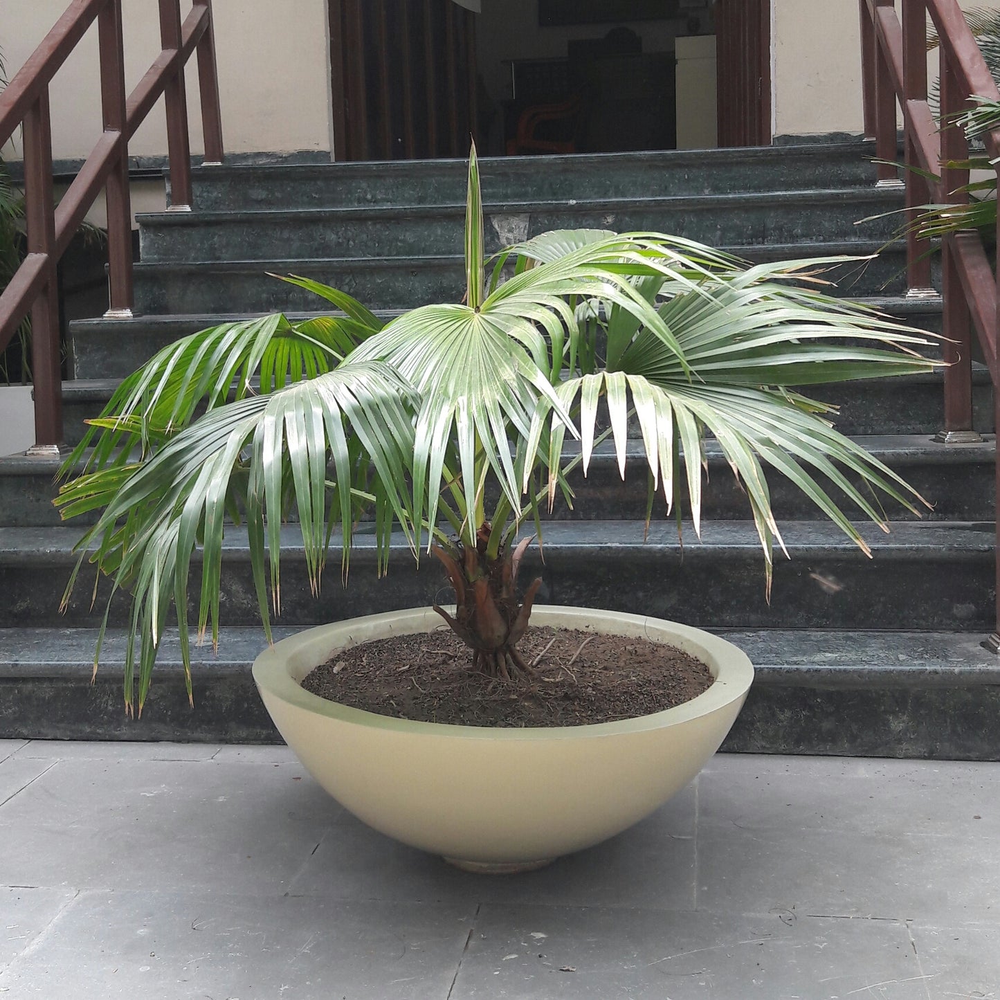Bowls 30" & 36"