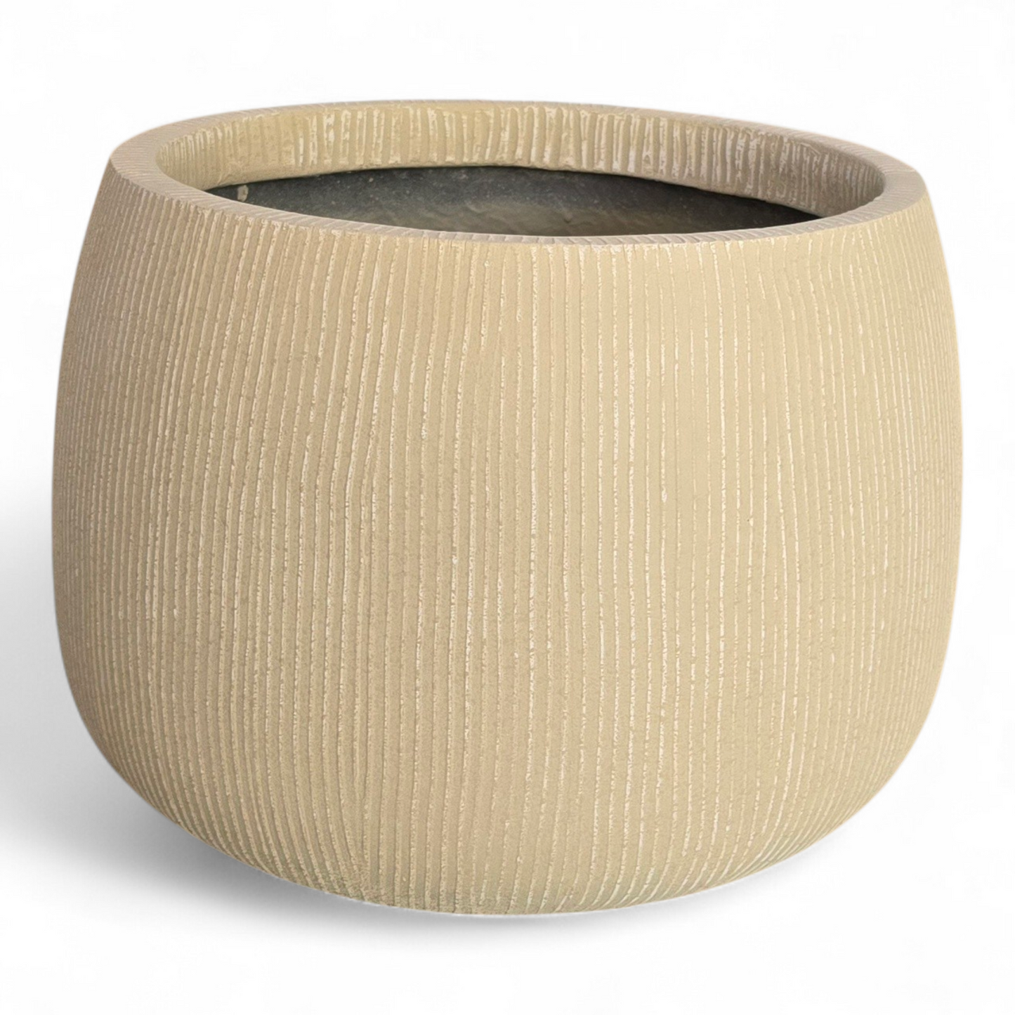 Venus planters by Avantika's Garden