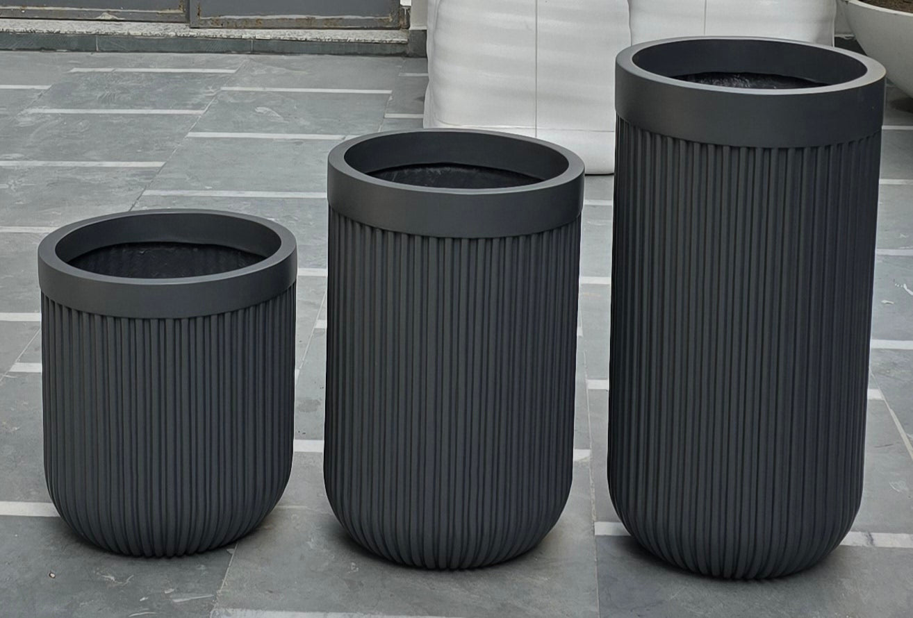 Martini planters by Avantika's Garden