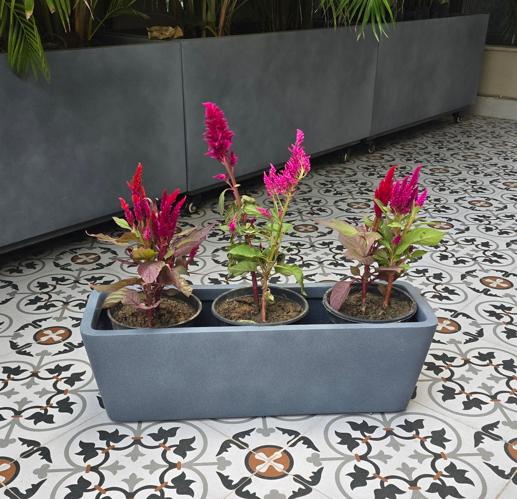 Veneto planters