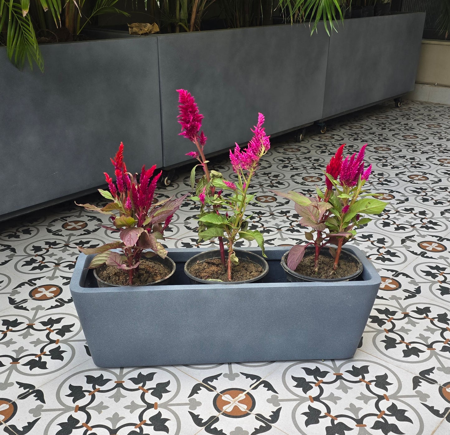 Veneto planters
