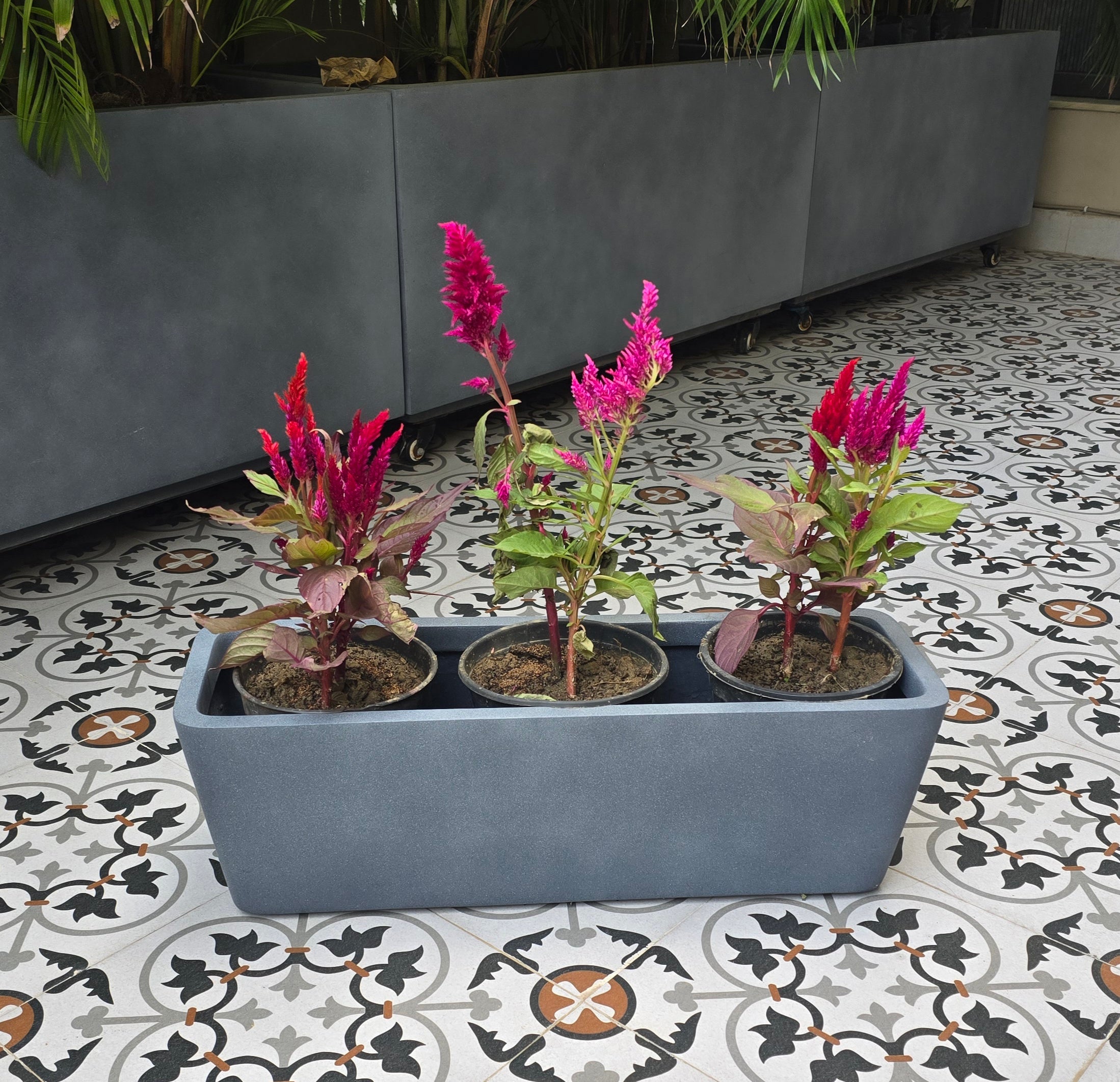 Veneto planters