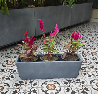 Veneto planters