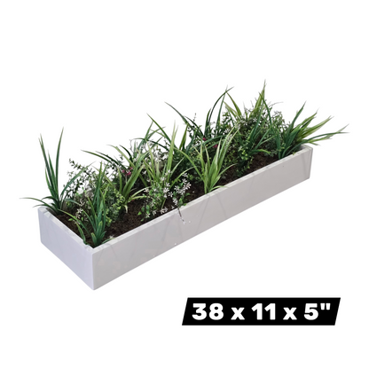 Tray Planters