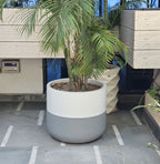 Torino planters by Avantika's Garden