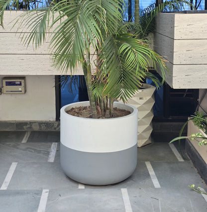 Torino planters by Avantika's Garden