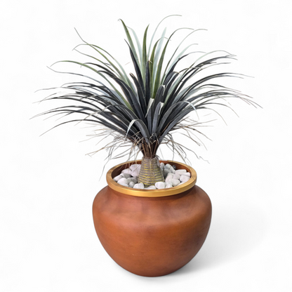 Pure planter by Avantika's Garden