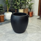 Donatello planters by Avantika's Garden