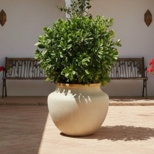 Pure planter by Avantika's Garden