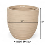 Neptune planter by Avantika's Garden