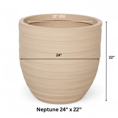 Neptune planter by Avantika's Garden