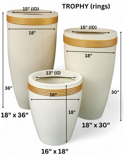 Trophy planters by Avantika's Garden