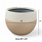 Zeus planter by Avantika's Garden
