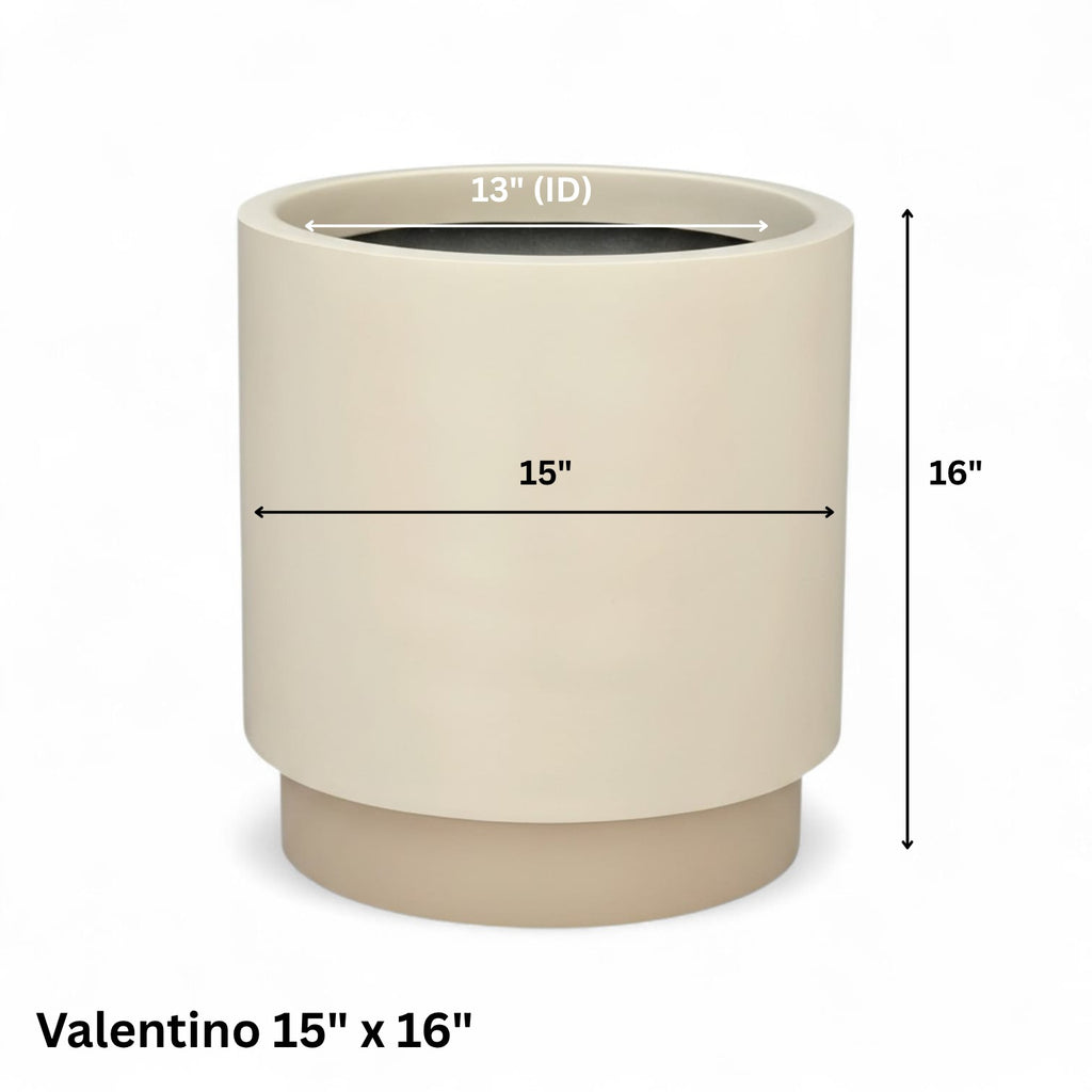 Valentino Jr.
