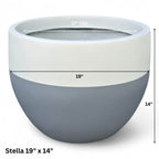 Stella Jr. by Avantika's Garden