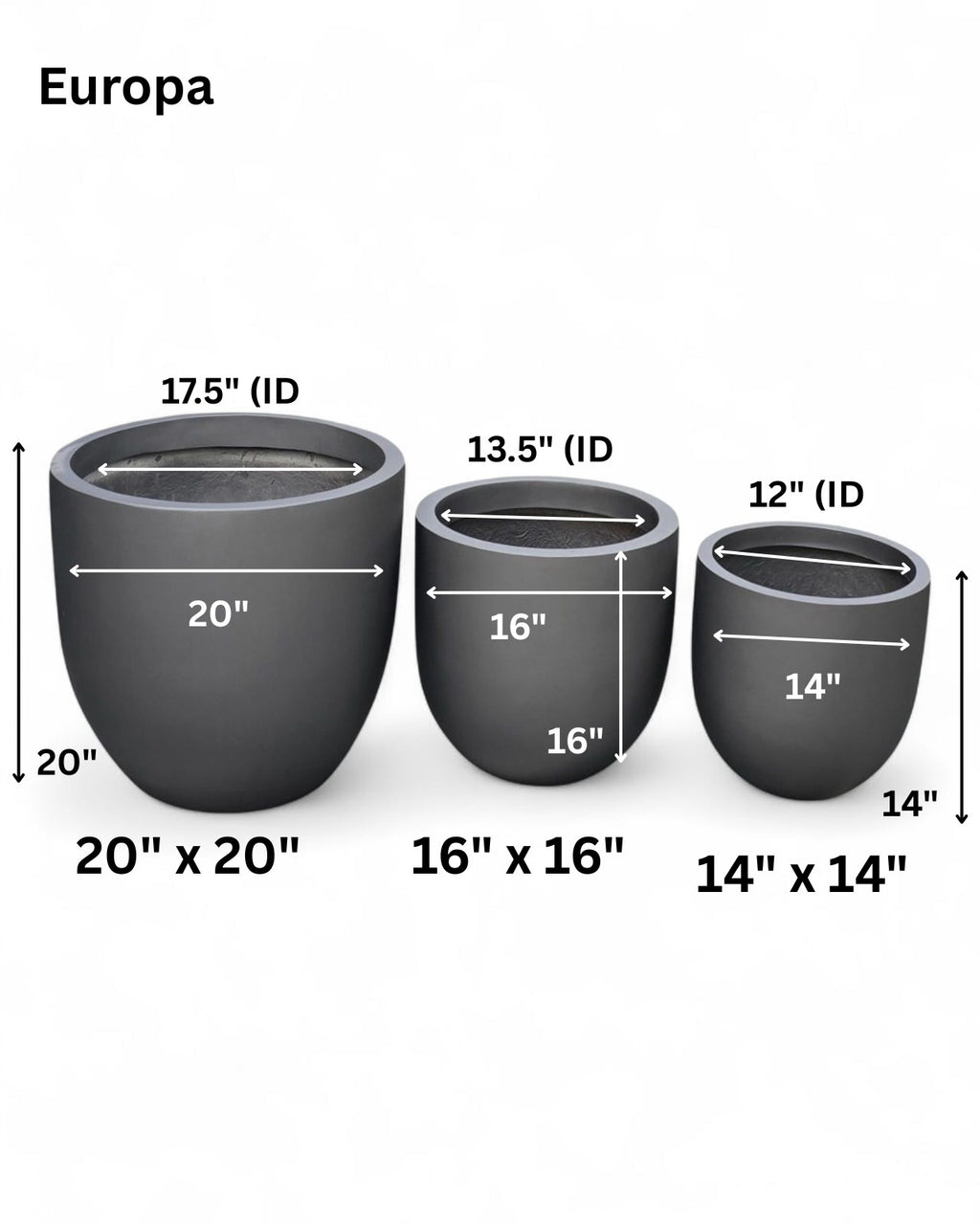 Europa planters by Avantika's Garden