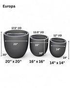 Europa planters by Avantika's Garden