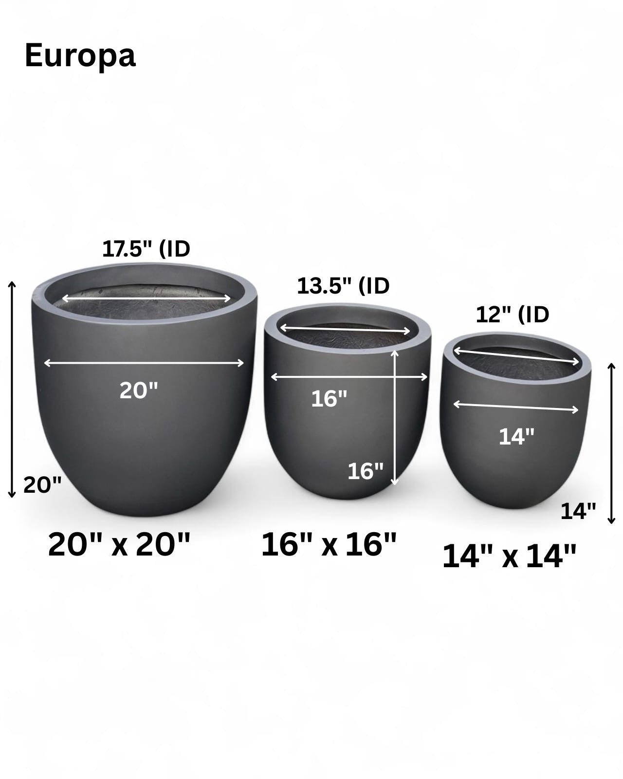 Europa planters by Avantika's Garden