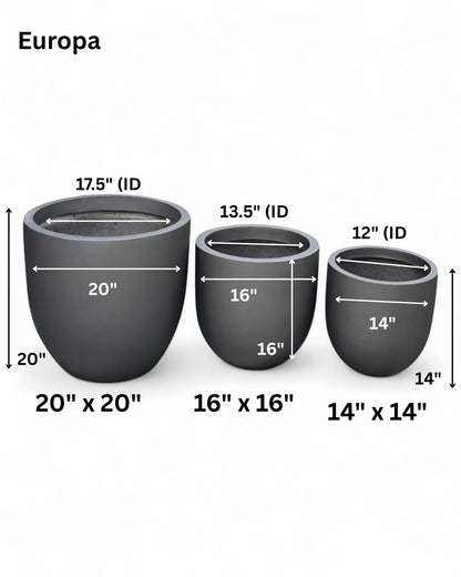 Europa planters by Avantika's Garden