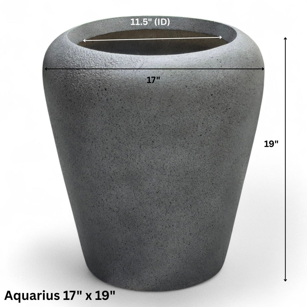 Aquarius planter by Avantika's Garden