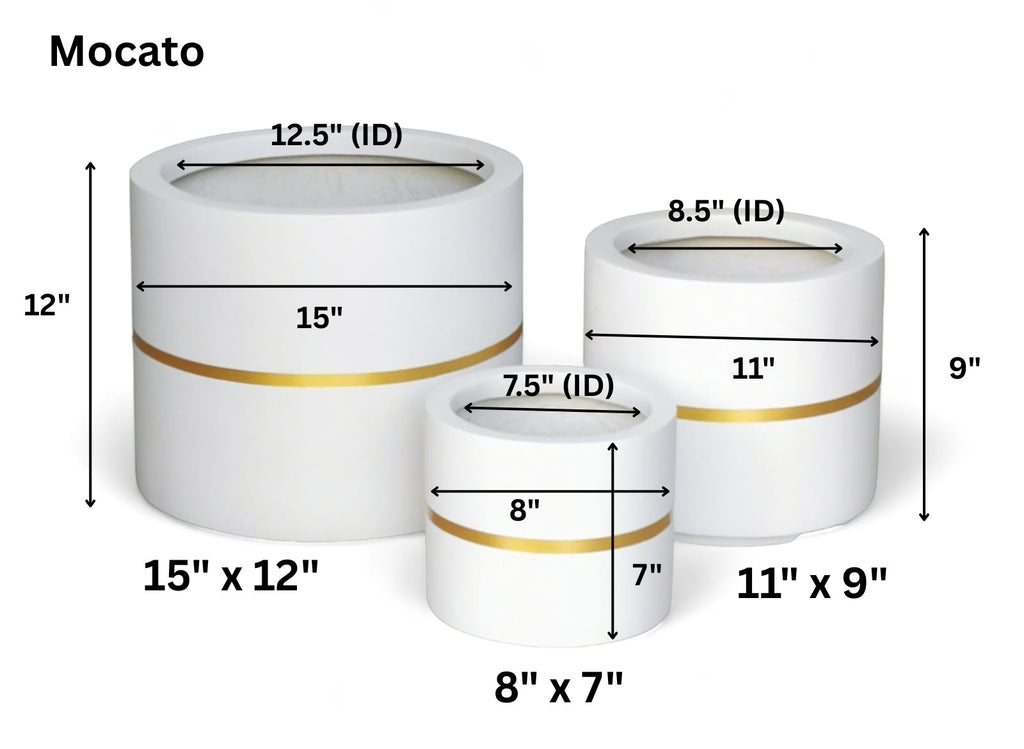 Moscato planters by Avantika's Garden