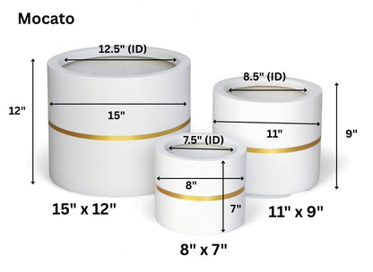 Moscato planters by Avantika's Garden