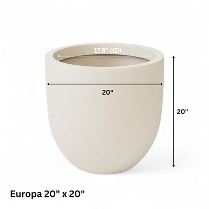 Europa planters by Avantika's Garden