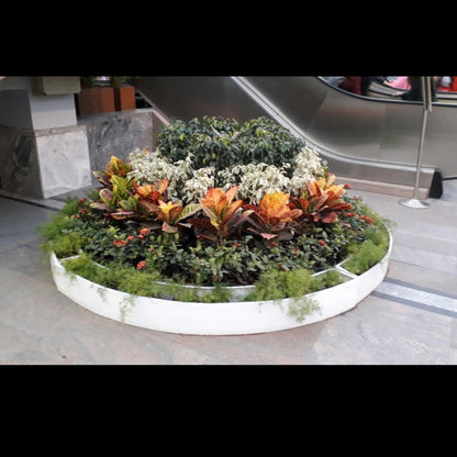 Circle planters by Avantika's Garden