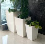 Peroni planters by Avantika's Garden