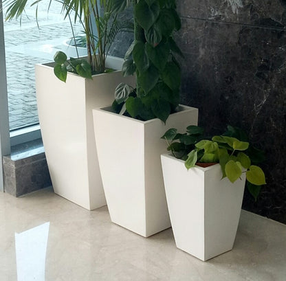 Peroni planters by Avantika's Garden