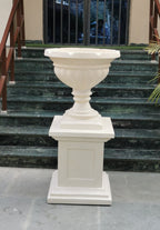 Classic planter by Avantika's Garden