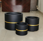 Moscato planters set