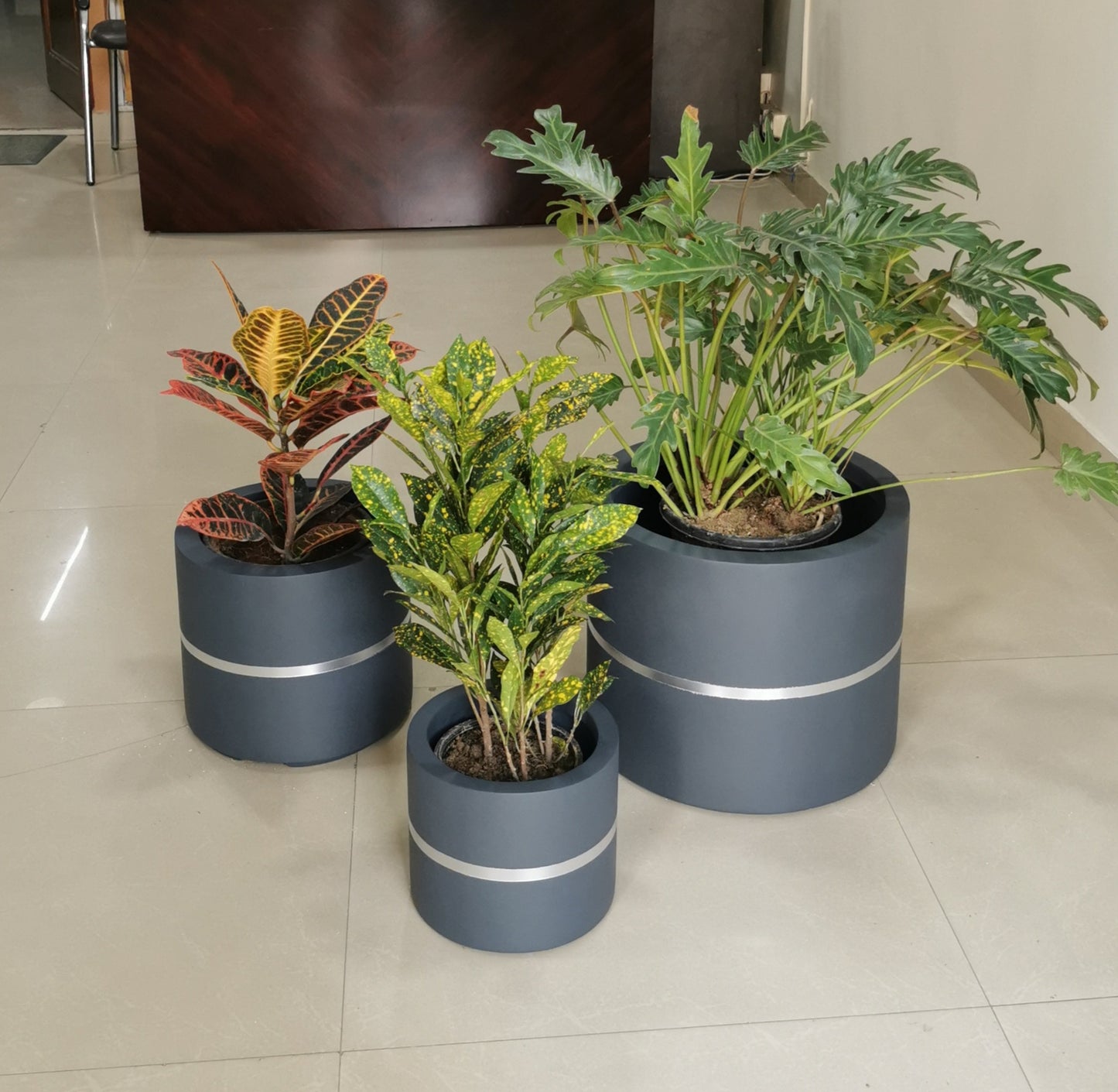Moscato planters set