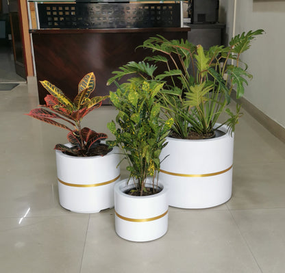 Moscato planters set