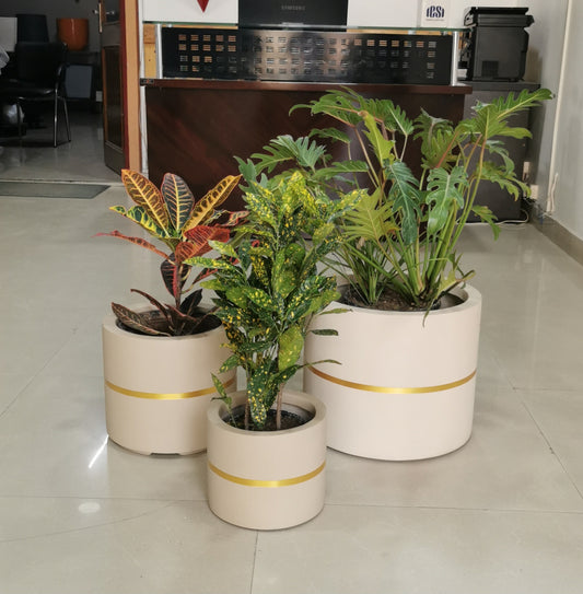 Moscato planters set
