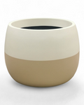 Venus planters by Avantika's Garden
