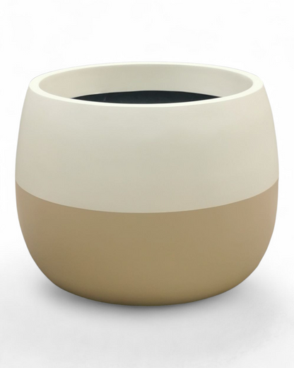 Venus planters by Avantika's Garden