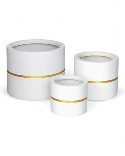 Moscato planters by Avantika's Garden