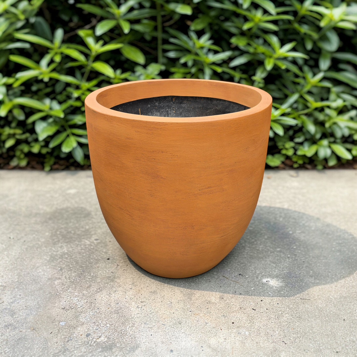 Europa planters by Avantika's Garden