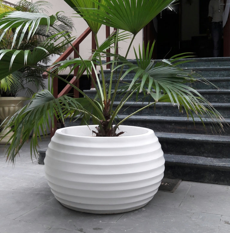 Reisling planter