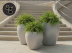 Donatello planters by Avantika's Garden