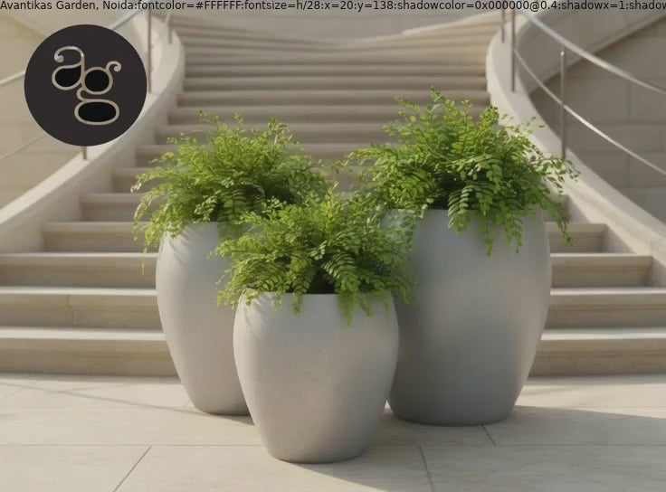 Donatello planters by Avantika's Garden