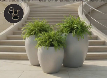 Donatello planters by Avantika's Garden