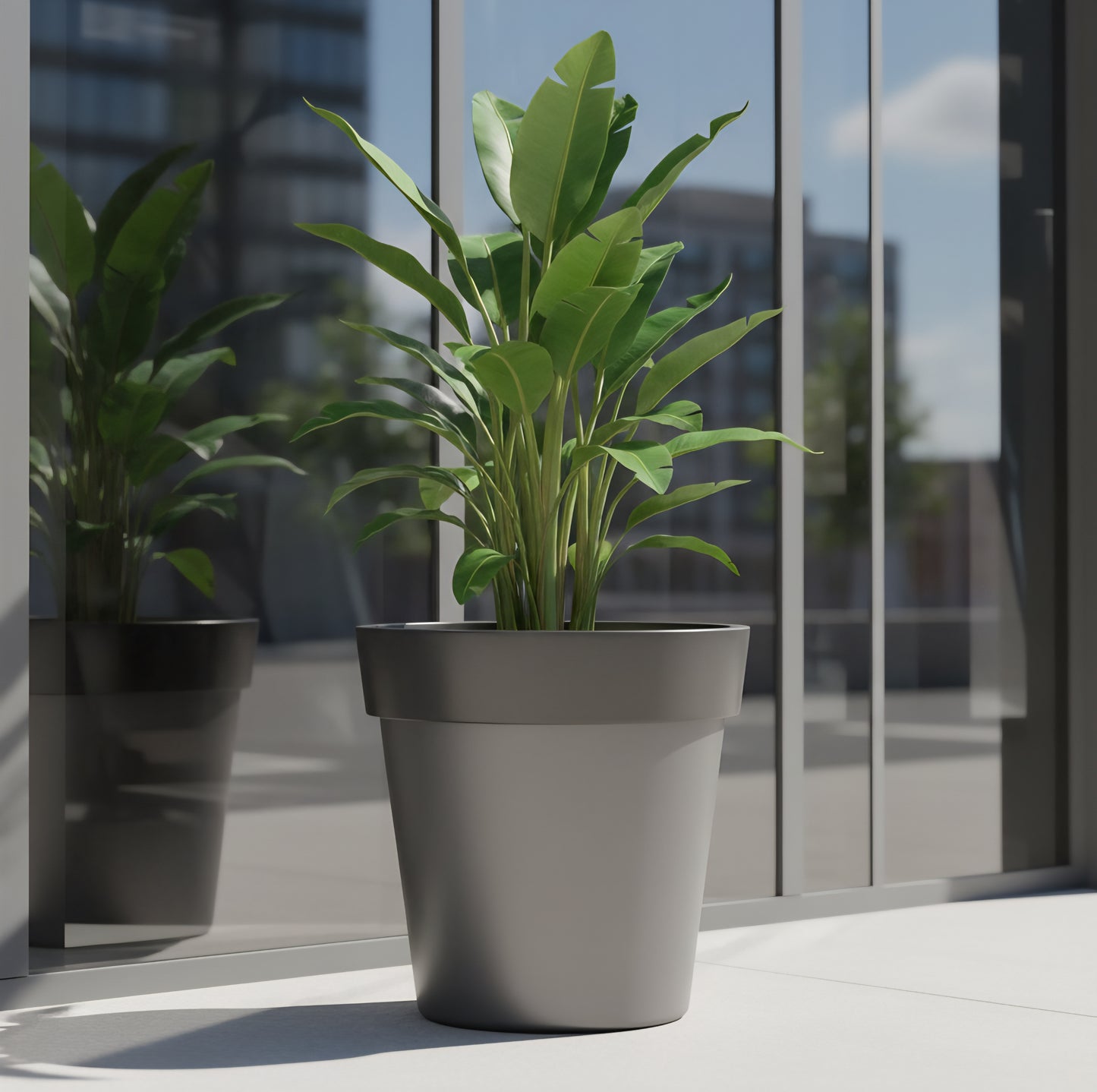 Azure planters by Avantika's Garden