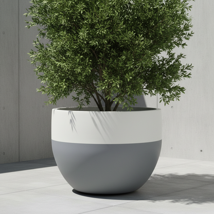Stella planter